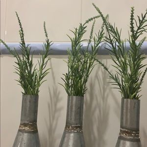 Meet your Posher, Yailin